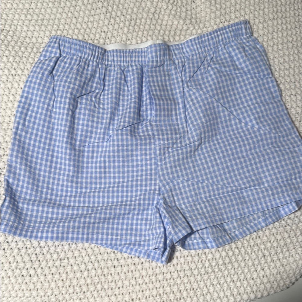 Olivaceous Blue and White Gingham Women Shorts